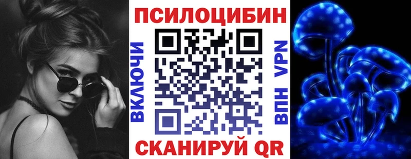 магазин продажи mega сайт Псилоцибиновые грибы Cubensis Сергач
